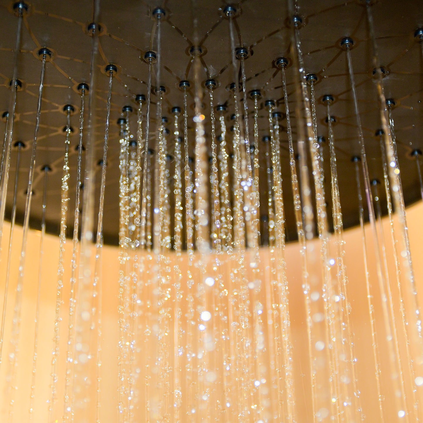 Anna Auto Clean Overhead Shower – Solid Brass Rain Shower Head | High Pressure Water Flow | Anti-Clog Nozzles | Rust-Resistant